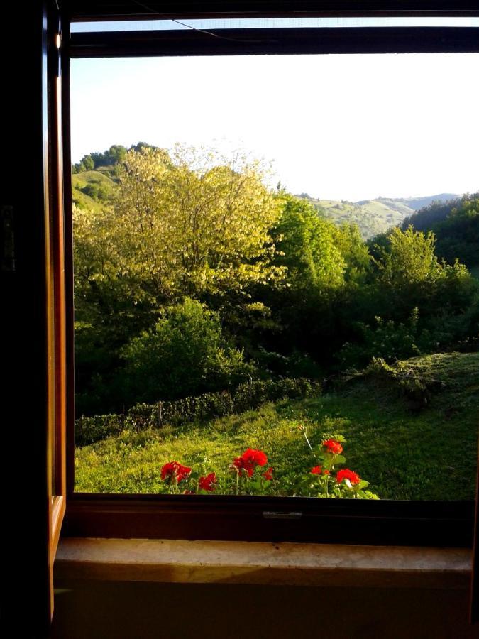 Agriturismo Il Casale Pica Posta 外观 照片