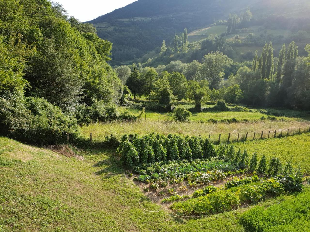 Agriturismo Il Casale Pica Posta 外观 照片